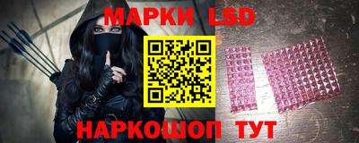 ALPHA PVP Гатчина