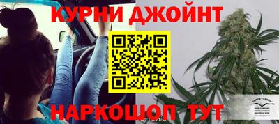 ALPHA PVP Гатчина