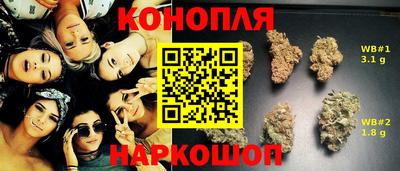 ALPHA PVP Гатчина