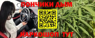 амф Гай