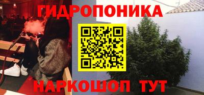 амф Гай