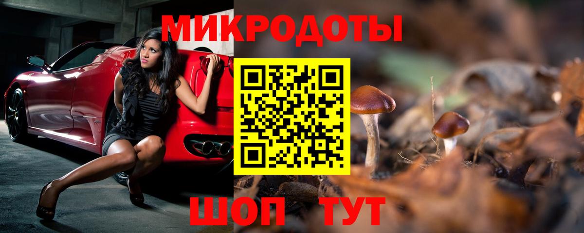 Псилоцибиновые грибы прущие грибы Москва